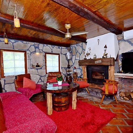 Apartment Jovicevic Rijeka Crnojevića 部屋 写真